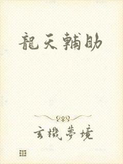 龙天辅助