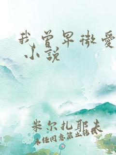 我曾卑微爱过你 小说