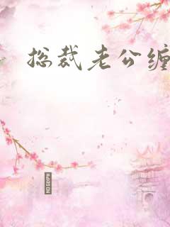 总裁老公缠上门