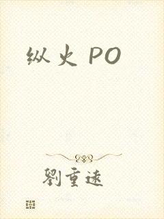 纵火 PO