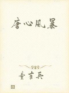 唐心风暴