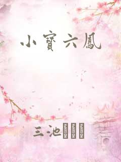 小宝六凤