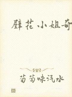 壁花小姐奇遇记