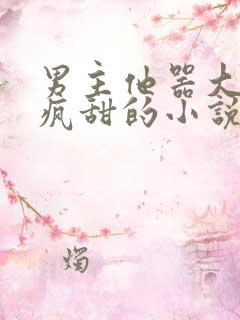 男主他器大活好疯甜的小说