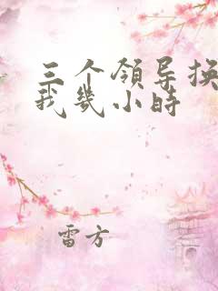 三个领导换着躁我几小时