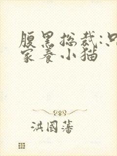 腹黑总裁:只疼家养小猫