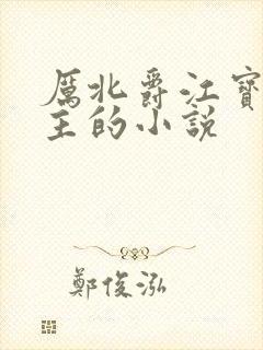 厉北爵江宝宝男主的小说