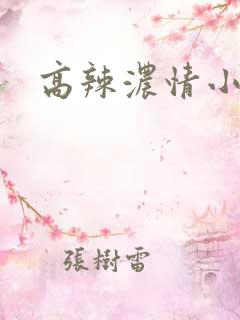 高辣浓情小说