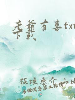 老爷有喜txt下载