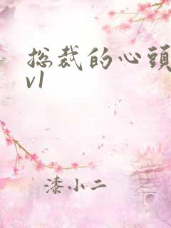 总裁的心头宝1v1