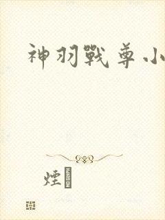 神羽战尊小说