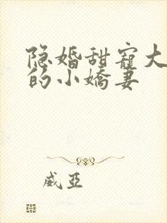 隐婚甜宠大财阀的小娇妻