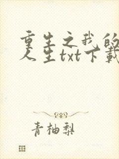 重生之我的书记人生txt下载