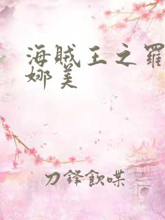 海贼王之罗宾h娜美