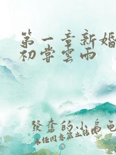 第一章新婚少妇初尝云雨