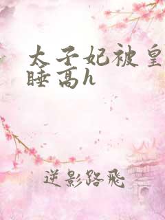 太子妃被皇上强睡高h