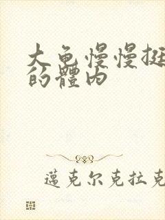 大龟慢慢挺进我的体内