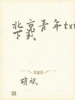 北京青年txt下载