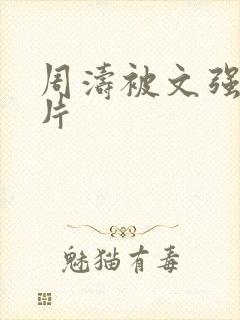 周涛被文强睡图片