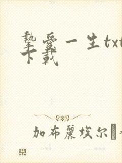 挚爱一生txt下载