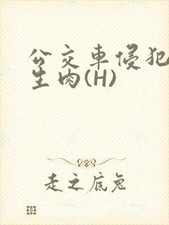 公交车侵犯小男生肉(H)