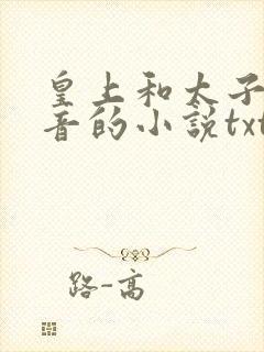 皇上和太子妃沈音的小说txt