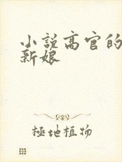小说高官的暗夜新娘