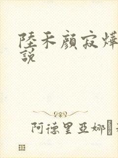 陆禾颜寂烨霖小说