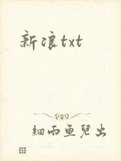 新浪txt