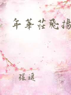 年华庄飞扬