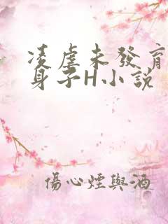 凌虐未发育的小身子H小说