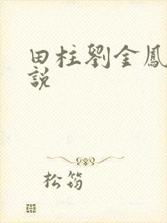 田柱刘金凤的小说