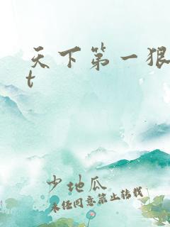 天下第一狠txt