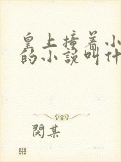 皇上撞着小公主的小说叫什么