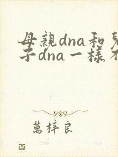 母亲dna和儿子dna一样不