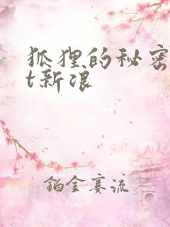 狐狸的秘密txt新浪