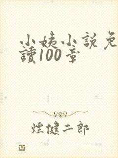 小姨小说免费阅读100章