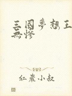 三国梦想王元姬无惨