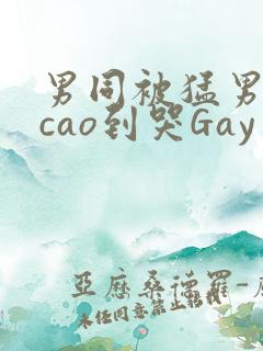 男同被猛男房东cao到哭Gay