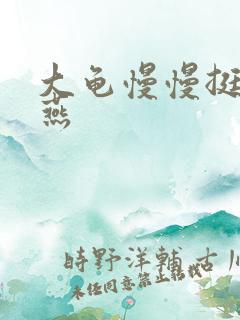 大龟慢慢挺进张燕