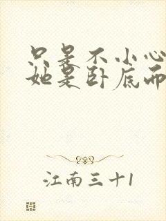 只是不小心发现她是卧底而已