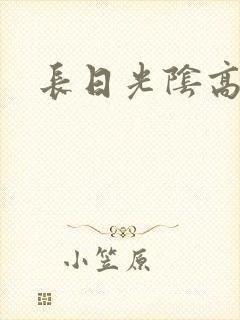 长日光阴高h