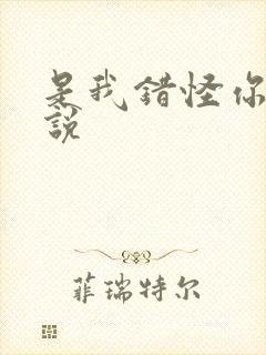 是我错怪你了小说