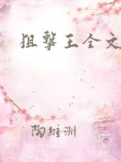 狙击王全文阅读