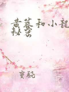 黄蓉和小龙女的秘密