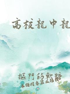 高校龙中龙