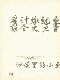 蜜汁炖鱿鱼2小说全文免费阅读