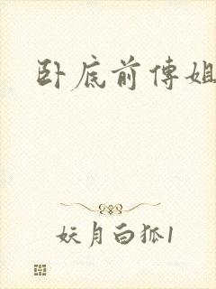 卧底前传姐妹篇