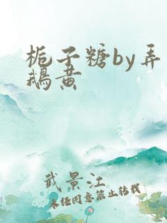 栀子糖by弄白鹅黄