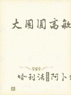 大团圆高敏